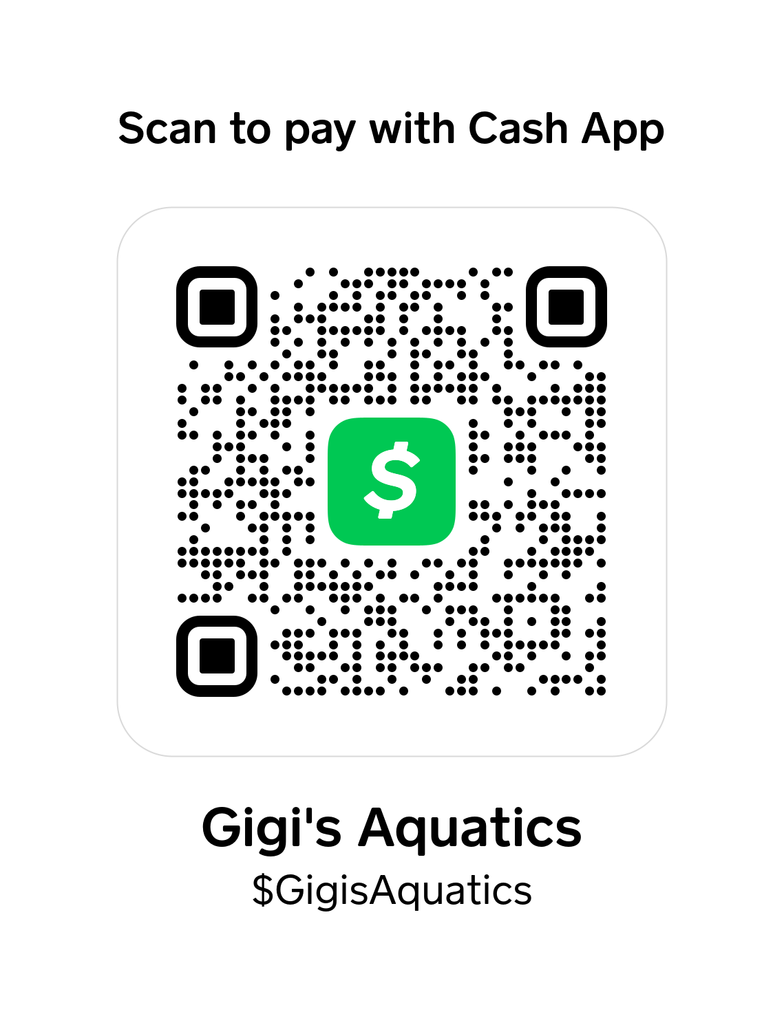 Cash App QR code for Gigi's Aquatics, cash tag GigisAquatics
